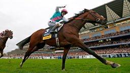 Image for Frankel - Starstudded