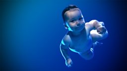 Image for The Water Babies: A Modern Fairy Tale