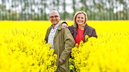 Image for Cereals: 'The Seeds of Life'