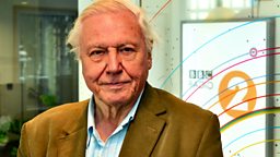Image for David Attenborough, Keeley Hawes, Michael Dobbs