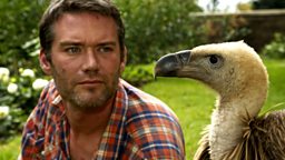 Image for Vultures: Beauty in the Beast