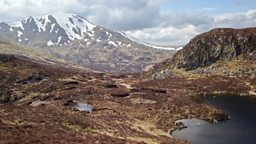 Image for Out of Doors