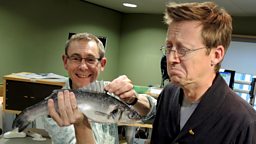 Image for Nigel brings in Seabass Caponata on Foodie Thursday