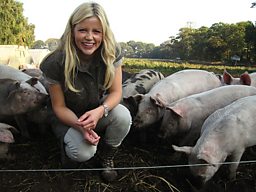Lincolnshire Pigs 