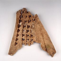 Chinese oracle bones