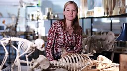 Find out more about our presenter Dr Alice Roberts