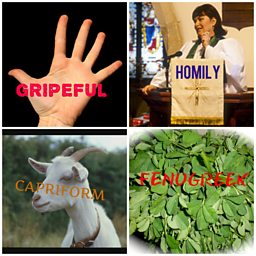 Feltz Friday Phililogical Challenge