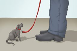 Matthew Johnstone illustration 3