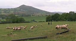 JOHN CRAVEN INVESTIGATES HILL FARMING