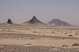 FROM MAURITANIA TO ALGERIA