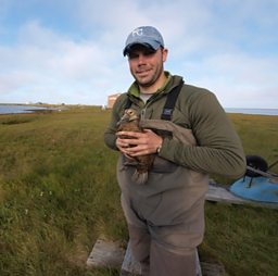 Matt Sexson with a female Eider duck
