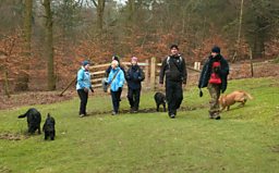 The Shefield Dog Walkers Group