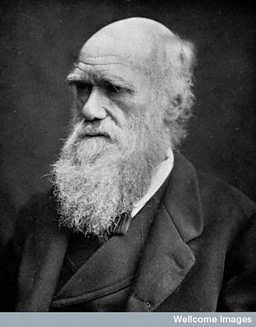 Charles Darwin