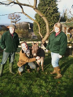 Jules And The Little Donkeys