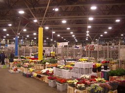 New Covent Garden Market in the early morning 