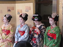 Maiko -  trainee geishas
