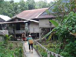 Bidayuh Kampung, Sarawak