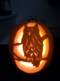 Pumpkin Owl