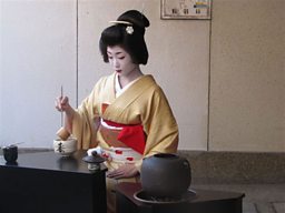 Maiko  - trainee geishas