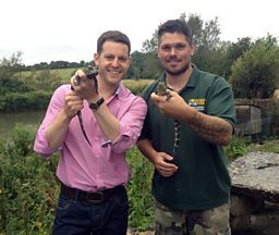 Crocodiles In Oxfordshire 
