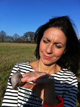 Eating Snails