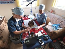 Zoo vets in their field hospital in the Colville Delta.
