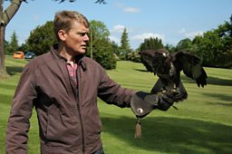 Birds Of Prey
