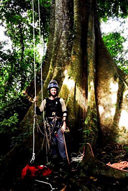 James Aldred at the base of the Nest Tree