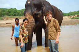 AFTER THE SAFARI