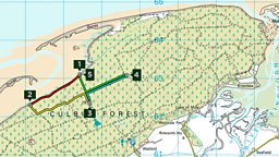 Discover the Culbin Forest for yourself