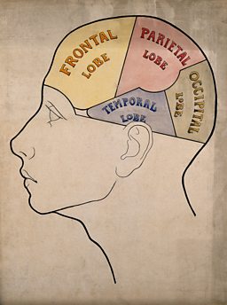 Brains: The Mind As Matter