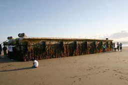 Tsunami dock