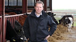 A week-long celebration of farming on BBC Radio Ulster 