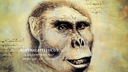 Visualising our ancestors