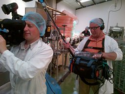 Tom Investigates Dairy Farming
