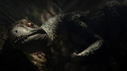 Epidexipteryx