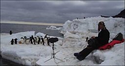 Chris Watson's Frozen Planet