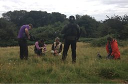 Matt And The Solitary Bees 
