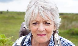 Alison Steadman