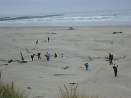 Clearing debris