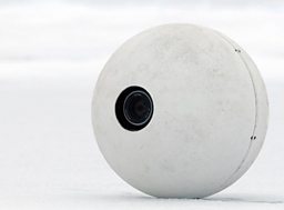 Snowball Cam