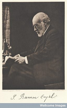Spanish doctor Santiago Ramon y Cajal 