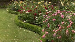 OPEN GARDEN SQUARES WEEKEND