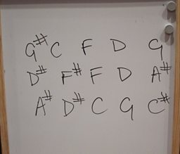 Field Music and Warm Digits Collaboration