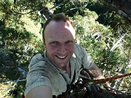 James Aldred climbing a Giant Redwood