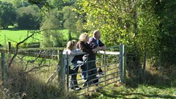 Tupping
