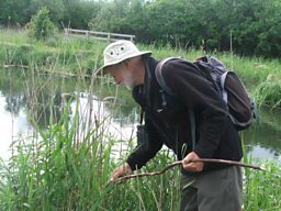 Nick Davies at Wicken Fen