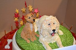 JANE ASHER SENT ANOTHER CAKE!