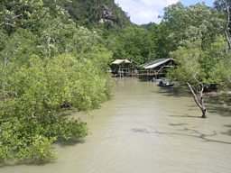 Bako National Park, Sarawak 