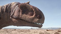 Majungasaurus